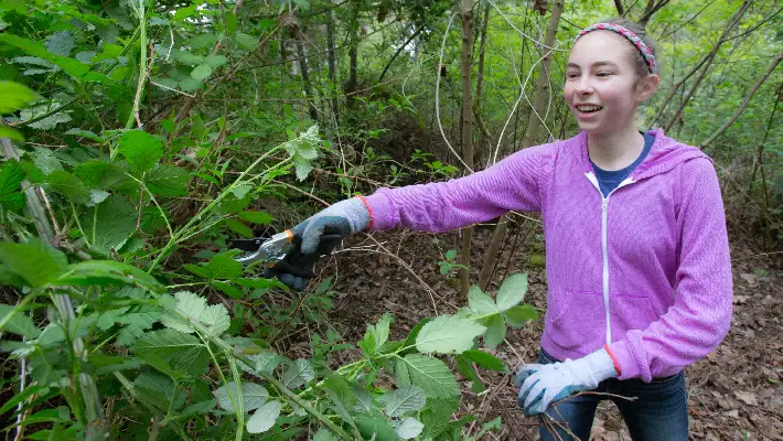 Volunteer and make a difference at CCC's Stewardship Saturday