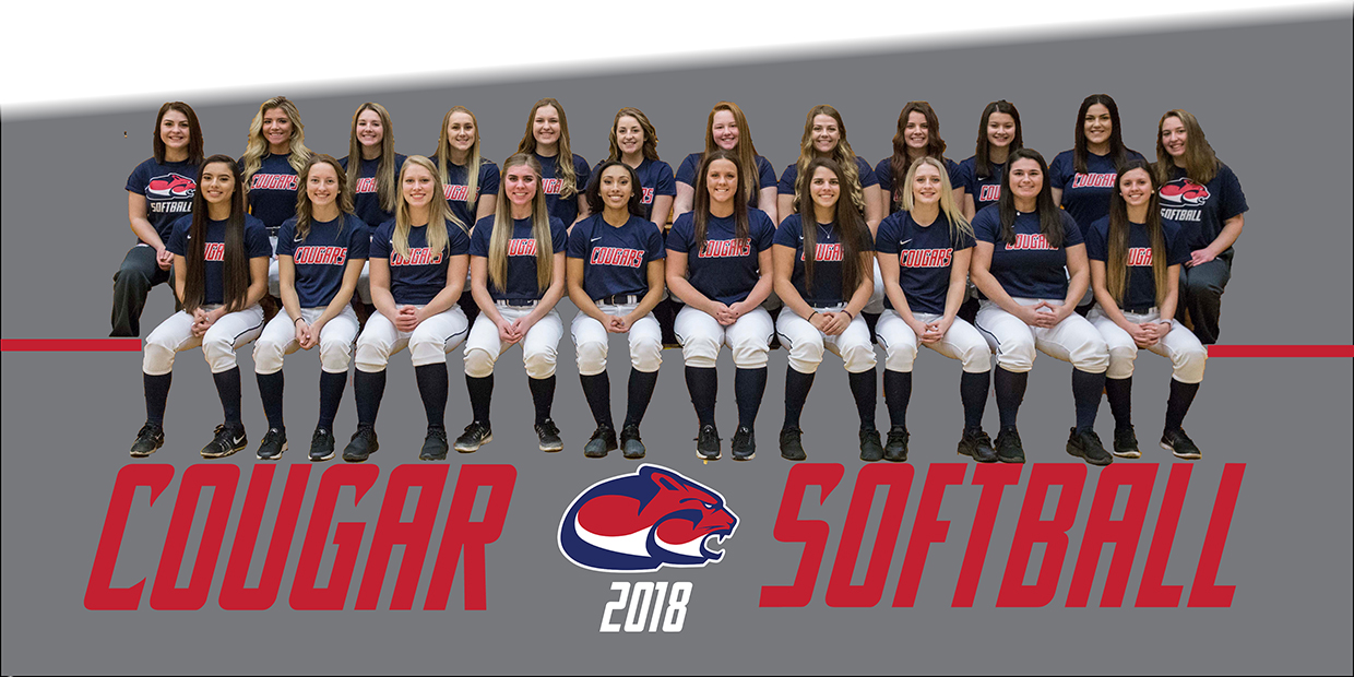 Softball team-web2 Softball team-web2