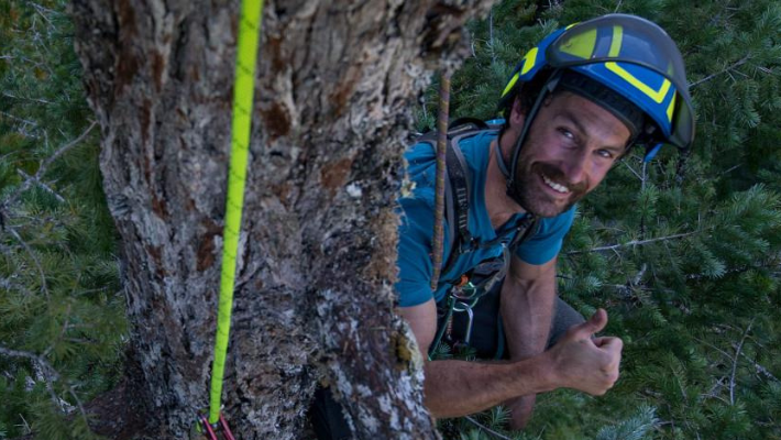 Student scaling a tree, giving thumbs up