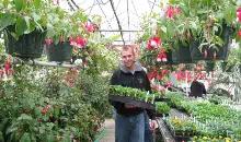 Student working in a greenhouse