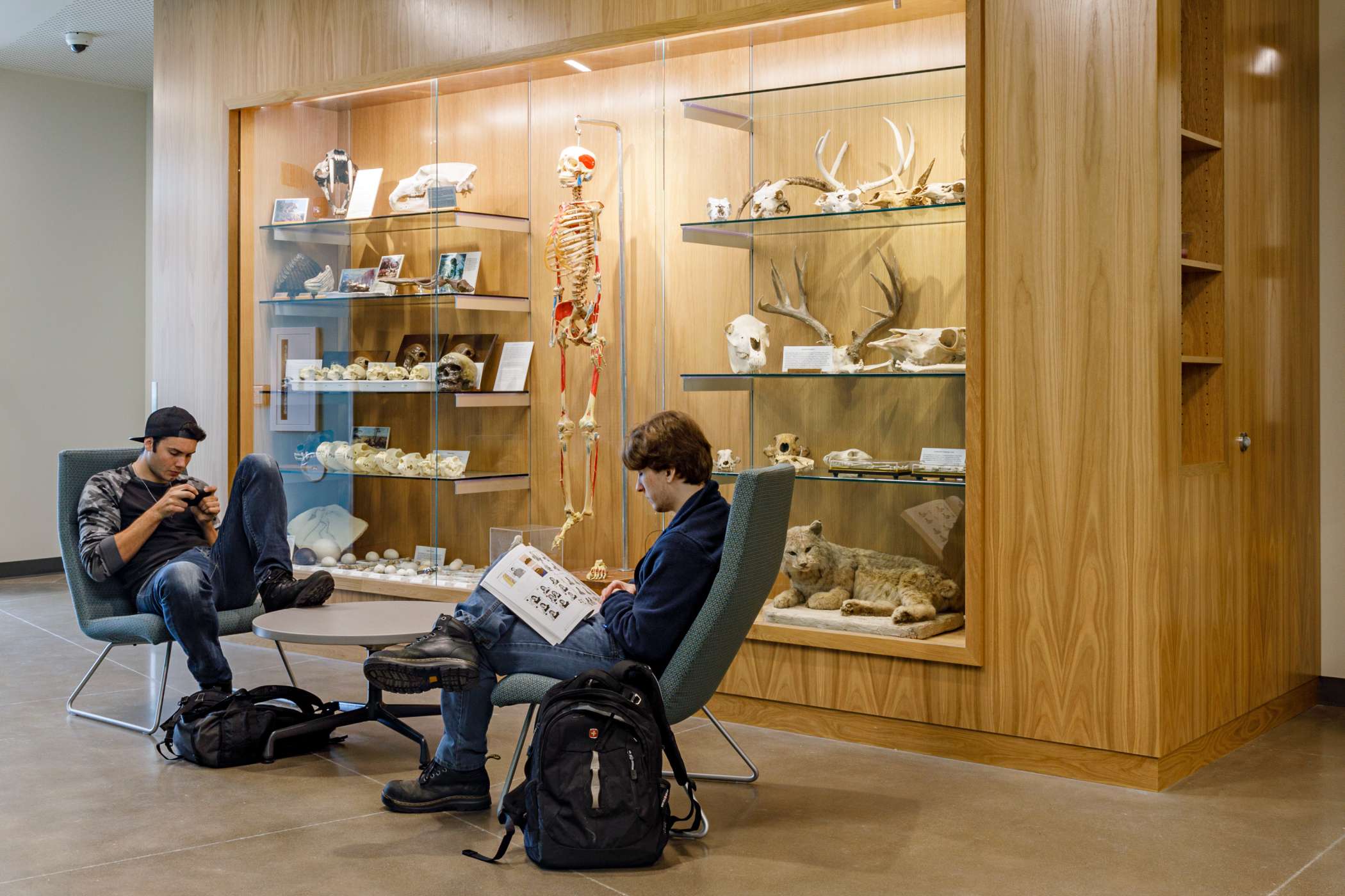 Two students reading next a human anatomy display case in the hall Two students reading next a human anatomy display case in the hall