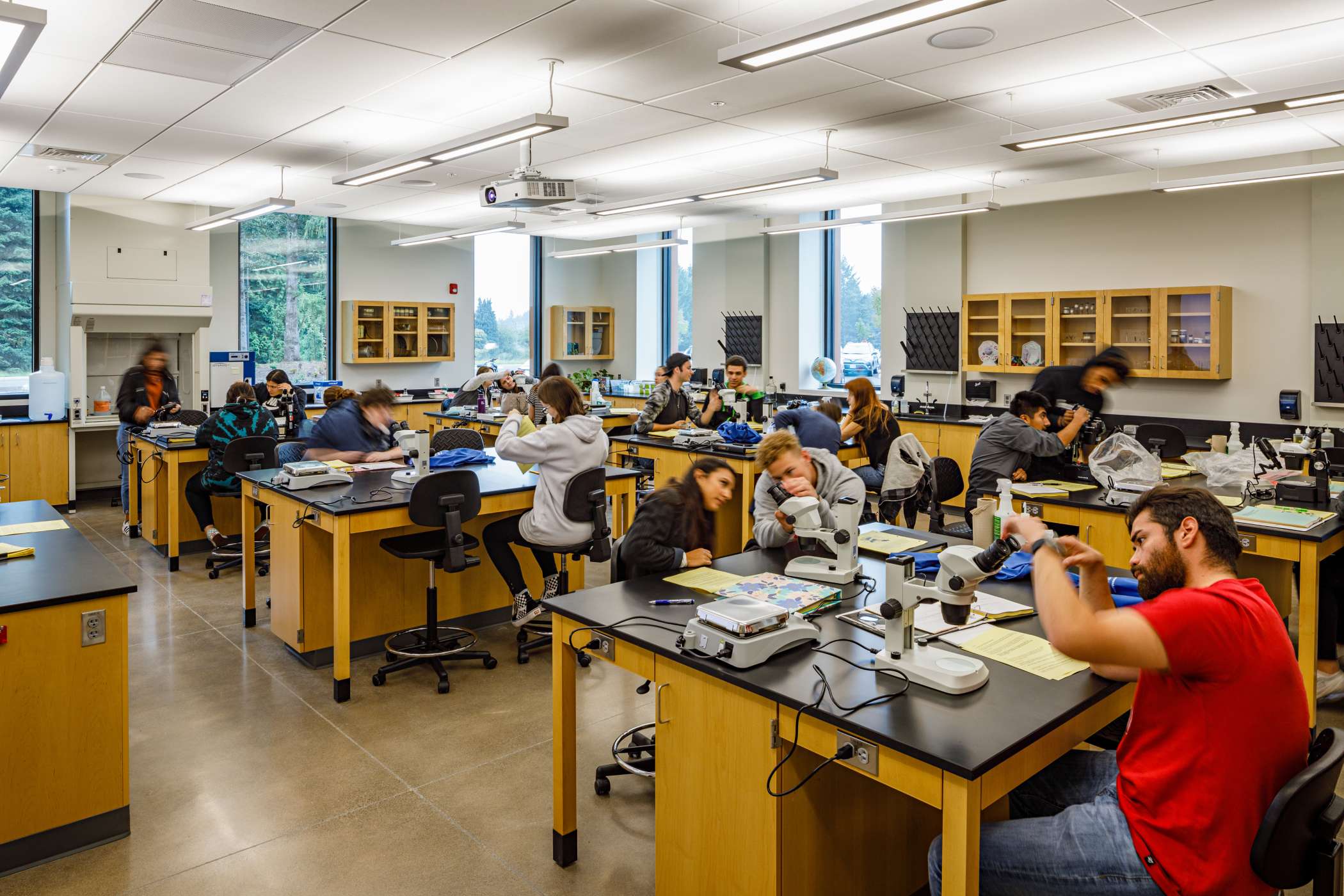 A busy chemistry lab, students at their microscopes A busy chemistry lab, students at their microscopes