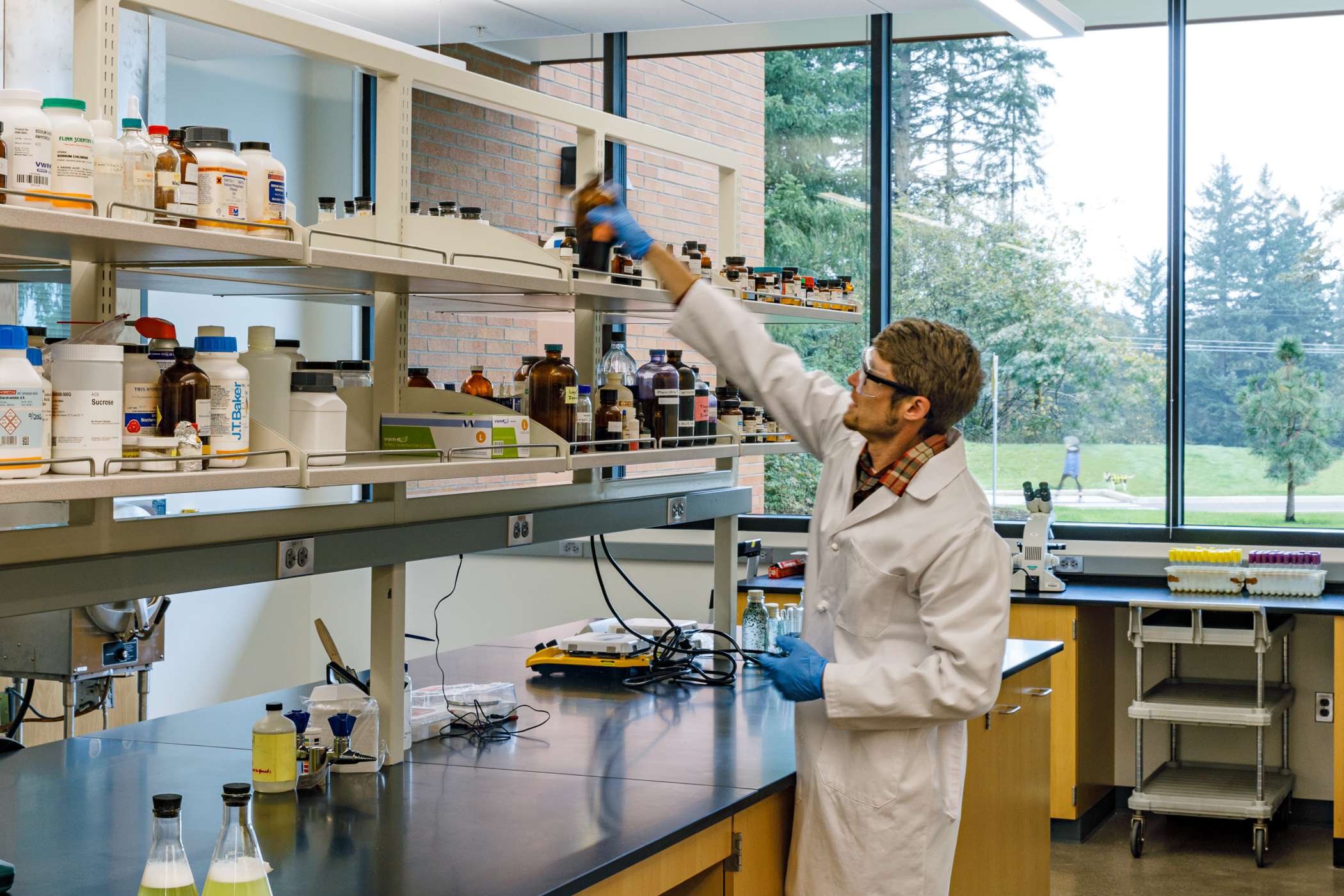A chemistry student reaches for a bottle in a lab A chemistry student reaches for a bottle in a lab