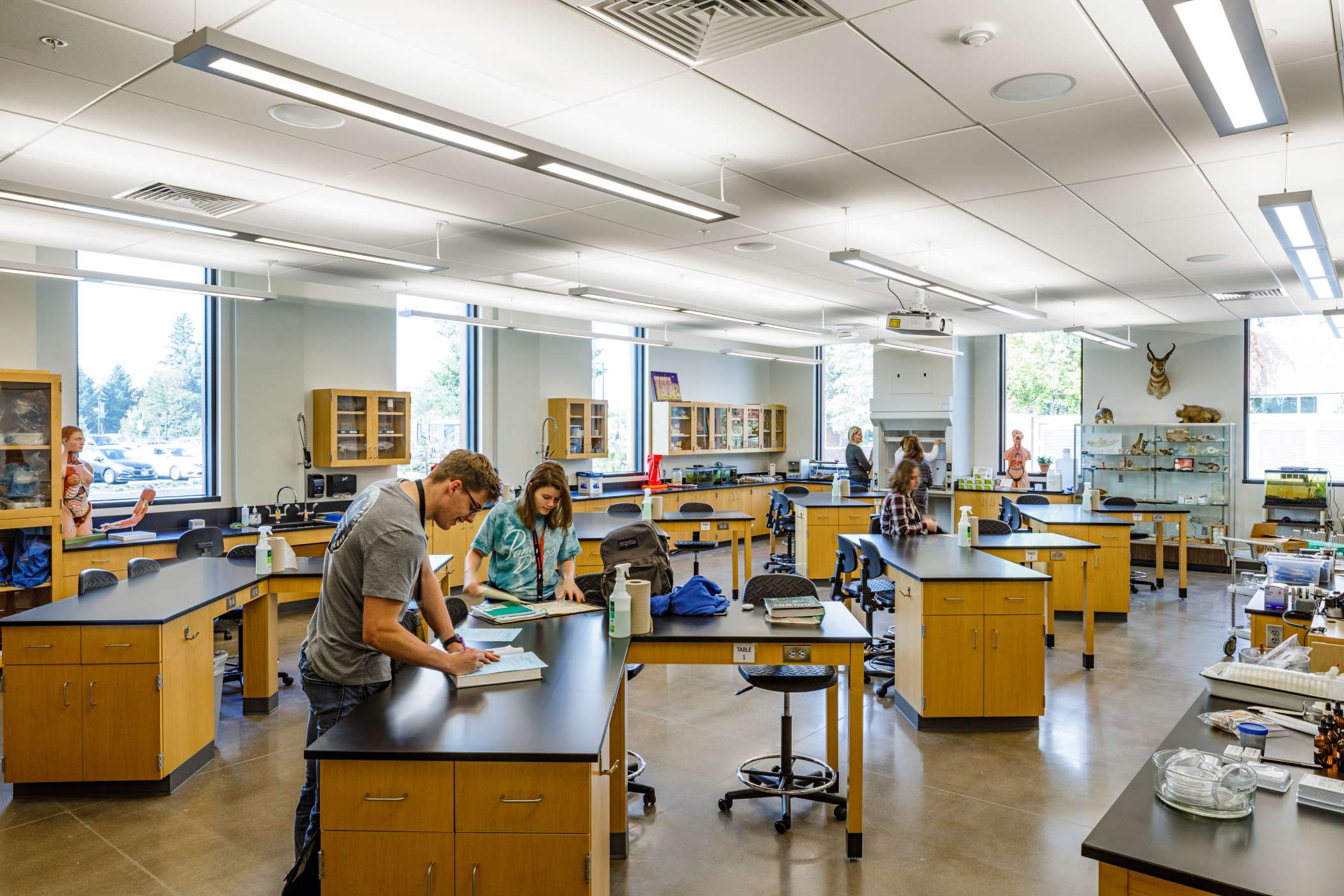 A chemistry lab with students at their standing desks