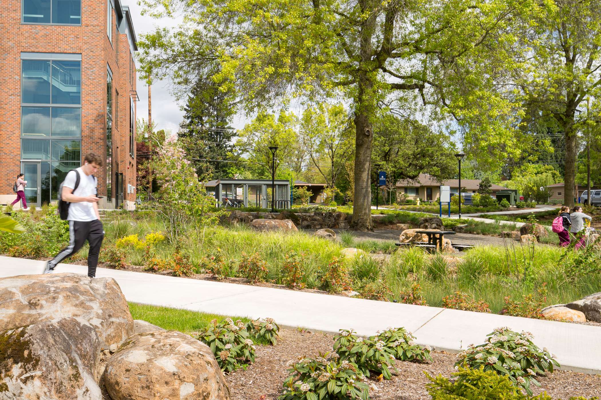 A student walking a path surrounded by trees and other greenery A student walking a path surrounded by trees and other greenery