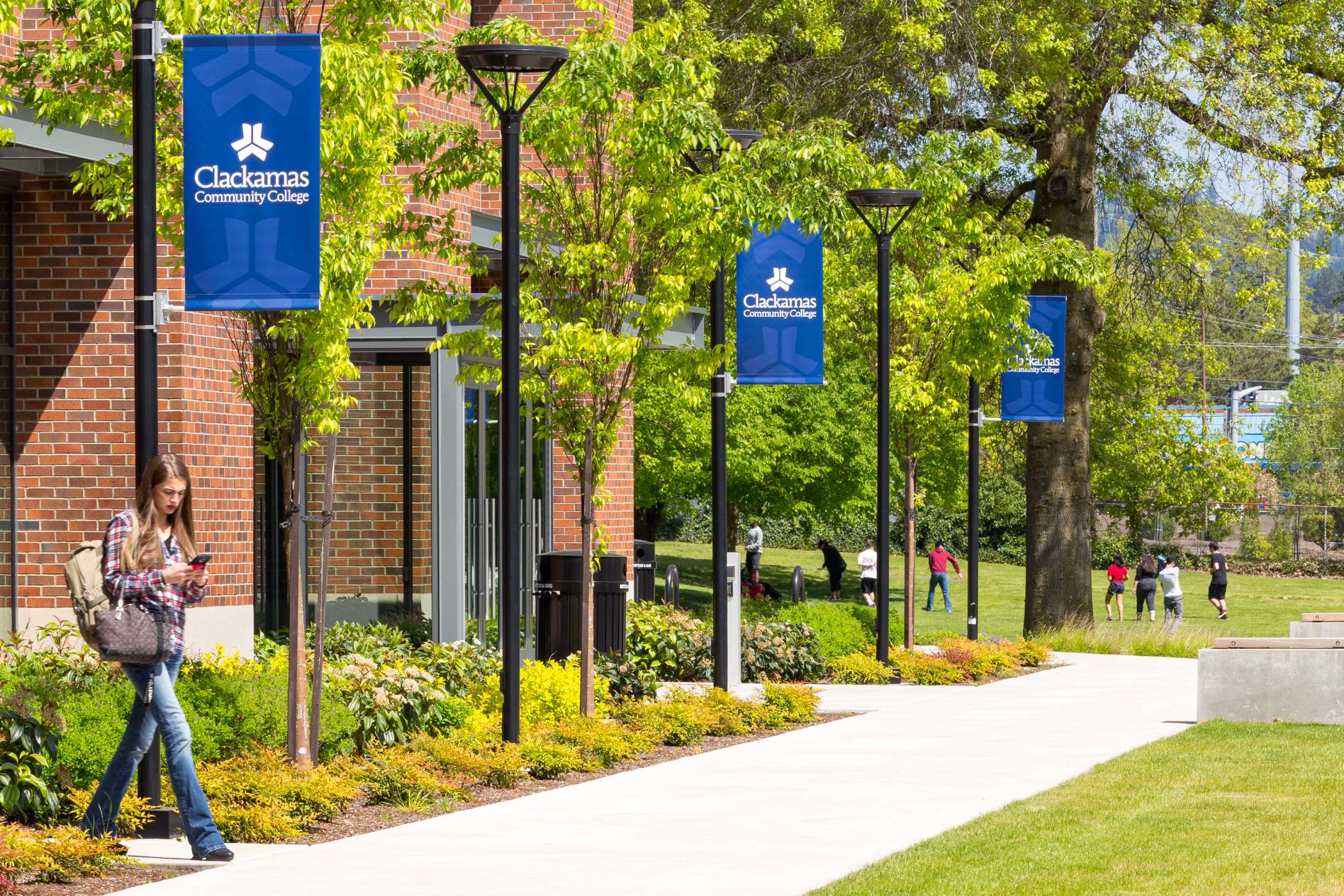 A student walking past several CCC streetlight banners A student walking past several CCC streetlight banners