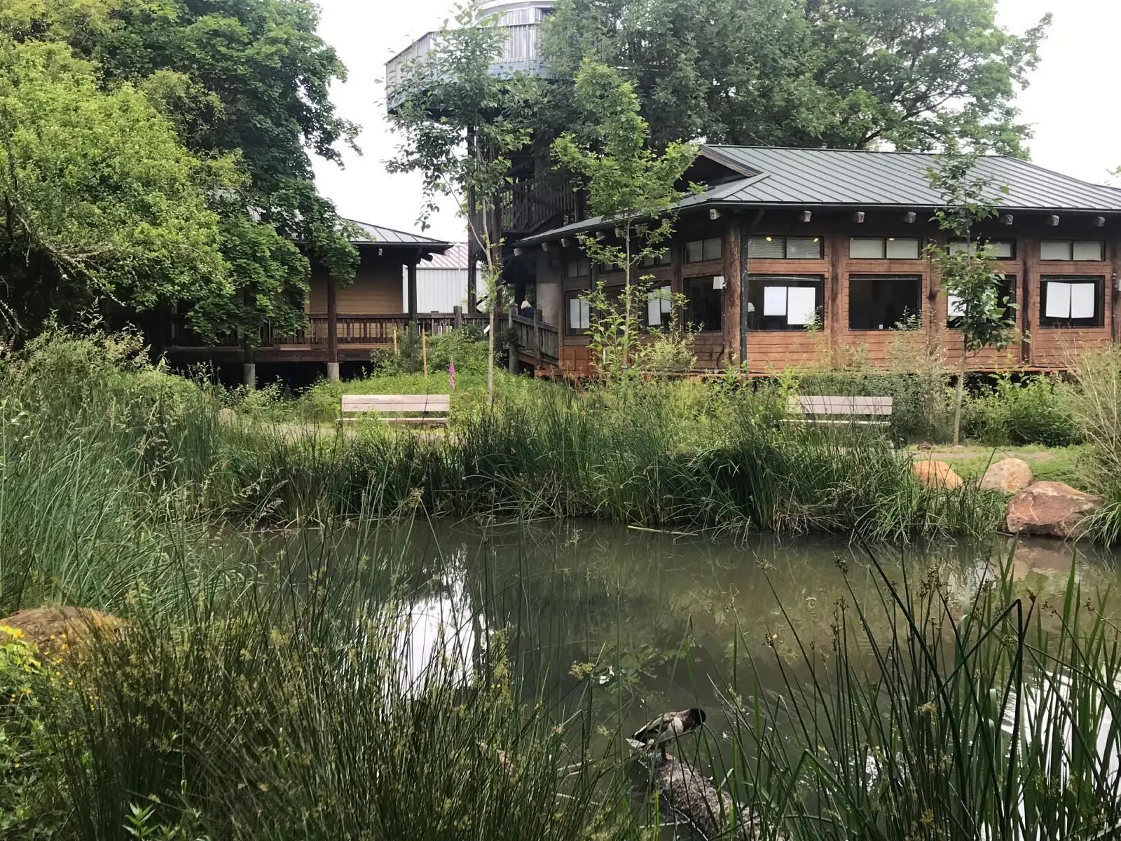 The nearby lake and grass next to the Lakeside Hall and Pavilion at the Environmental Learning Center