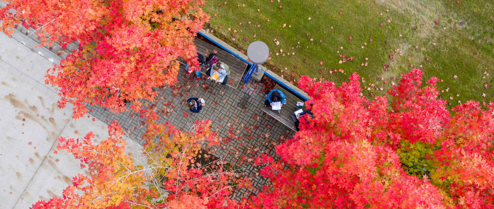 Scholarships fall 2025