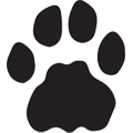 Miniatura estándar de Cougar Paw