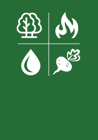 Natural Resources EFA icon logos, a tree, flame, water drop and turnip