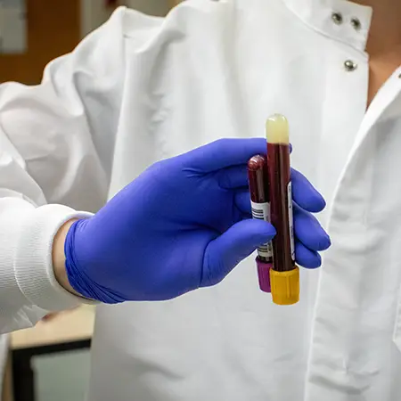 Phlebotomy Certificate CCC Phlebotomy Certificate CCC