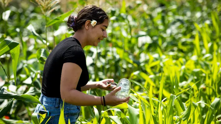 Student catching a bug with a jar