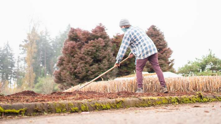 Student raking leaves