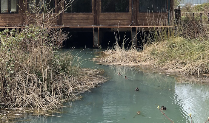 Environmental Learning Center Hosts Creatures of the Night and Día de los Muertos