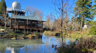 CCC offers free wildlife- and water-friendly garden series