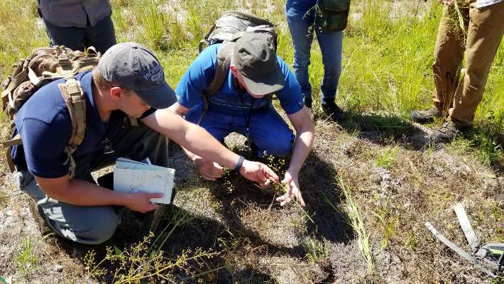 Two students investigating plants