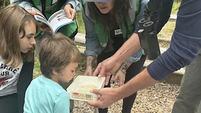 Discover the wonders of nature at CCC’s Nature Spy Discovery Days