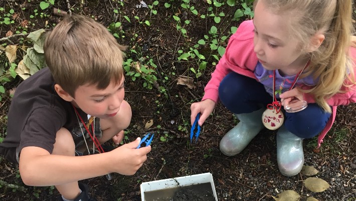 Two kids playing in the soil with small tweezers