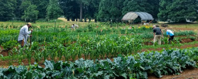 Organic Farming CC